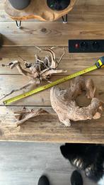 Verschillende stukken aquarium hout, Ophalen of Verzenden, Zo goed als nieuw, Plant(en), Steen of Hout