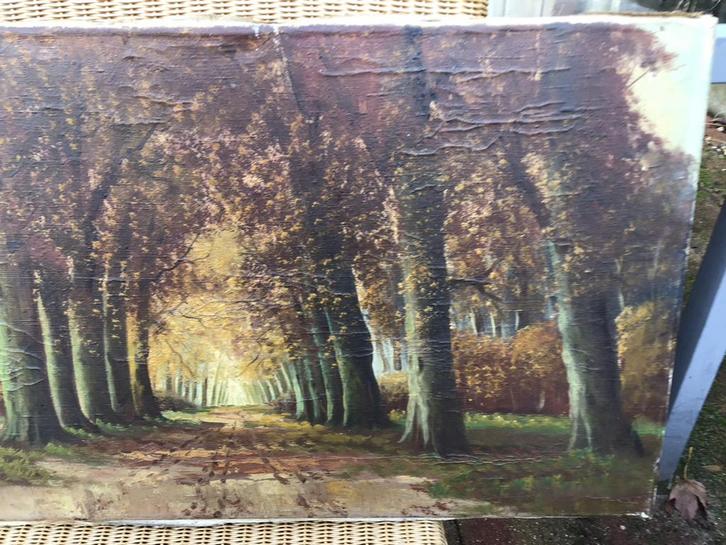 Schilderij Haarlemmerhout ca. 1920 - Onbekende Schilder, Antiek en Kunst, Kunst | Schilderijen | Klassiek, Ophalen