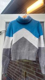 Rene lezard trui wol 100% maat 38, Kleding | Dames, Ophalen of Verzenden, Zo goed als nieuw, Maat 38/40 (M)