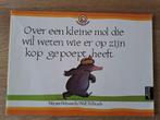 OVER EEN KLEINE MOL DIE WIL WETEN WIE ER OP ZIJN KOP GEPOEPT, Ophalen of Verzenden, Gelezen, Wolf Erlbruch; Werner Holzwarth, Prentenboek