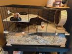 Hamster/knaagdier kooi ferplast karat 100, Dieren en Toebehoren, Kooi, Zo goed als nieuw, Hamster, 75 tot 110 cm