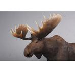 Moose Life Size beeld – Eland Lengte 236 cm, Ophalen, Nieuw, Overige typen