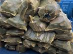 Haardhout Mix XXXL Zakken, Minder dan 3 m³, Ophalen, Overige houtsoorten, Blokken
