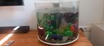 Biorp tube wit 35, Dieren en Toebehoren, Ophalen of Verzenden, Gebruikt, Leeg aquarium