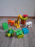 Lego Duplo jonge dieren set 10801, Ophalen of Verzenden, Gebruikt, Complete set, Duplo