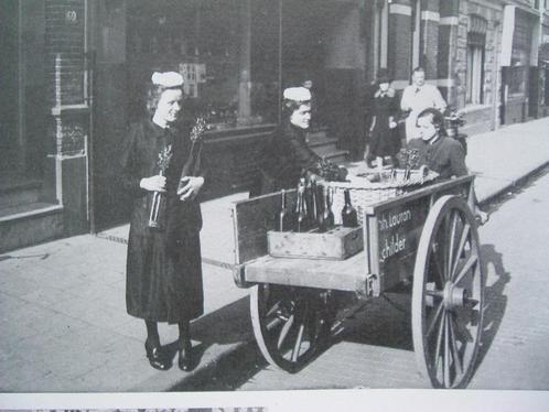 Leven en werken van Nederlandse dienstbodes., Boeken, Geschiedenis | Vaderland, Gelezen, 20e eeuw of later, Ophalen of Verzenden
