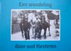 Een wandeling door oud Kesteren, Boeken, Ophalen of Verzenden, Zo goed als nieuw