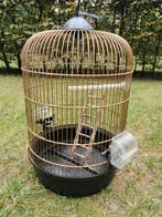 Vogelkooi, Dieren en Toebehoren, Vogels | Hokken en Kooien, Ophalen, Zo goed als nieuw, Metaal, Vogelkooi