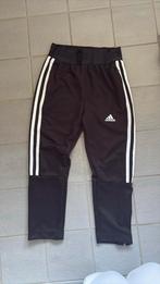 Adidas trainisbroek jongens, Ophalen, Gebruikt, Jongen