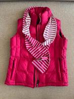 Bodywarmer fuchsia met bijpassende shawl Human Nature mt XXL, Kleding | Dames, Bodywarmers, Maat 46/48 (XL) of groter, Ophalen of Verzenden