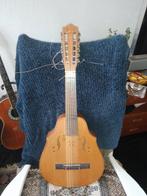 12- string gitaar in luitvorm, Muziek en Instrumenten, Snaarinstrumenten | Gitaren | Akoestisch, Ophalen of Verzenden, Zo goed als nieuw