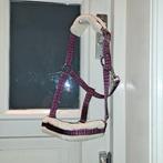 Halster pony, Dieren en Toebehoren, Ophalen of Verzenden, Zo goed als nieuw, Overige soorten