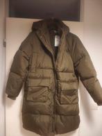 Nieuwe Lyle & Scott Dames Winterjas, Kleding | Dames, Jassen | Winter, Lyle & Scott, Ophalen of Verzenden, Nieuw