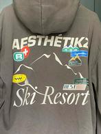 The Sting Daily Aesthetikz Ski Resort Hoodie katoen print, Bruin, Ophalen of Verzenden, Zo goed als nieuw, Daily aesthetikz
