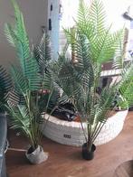 3 Kunstplanten - Palm look, Ophalen, Palm, Halfschaduw, In pot