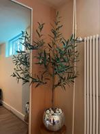 Kunst oijfboompje, Huis en Inrichting, Woonaccessoires | Kunstplanten en Kunstbloemen, Ophalen of Verzenden, Zo goed als nieuw