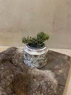 PTMD Potje met Kunstplantje - Sfeervolle Decoratie, Ophalen of Verzenden, Zo goed als nieuw
