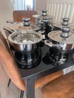 Panen, Huis en Inrichting, Keuken | Potten en Pannen, Ophalen of Verzenden, Nieuw