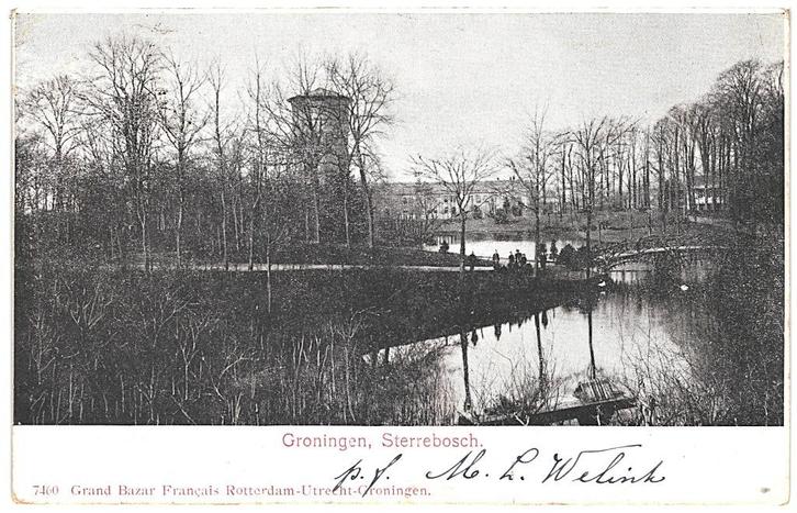 959392 Groningen Sterrebosch 1904 Gelopen met postzegel, Verzamelen, Ansichtkaarten | Nederland, Gelopen, Groningen, Voor 1920