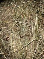 Gerstestro gevraagd regio Boxtel, Ophalen, Vee