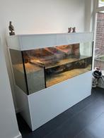 Schildpadden Aquarium / Terrarium 160/60/70, Dieren en Toebehoren, Ophalen, Zo goed als nieuw, Leeg aquarium