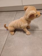 Chihuahua knuffel op ware grootte( kan zitten en liggen), Ophalen of Verzenden, Overige typen