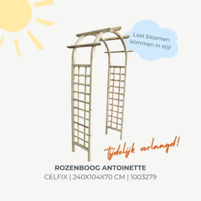 Rozenboog hout Antoinette celfix Actie, Tuin en Terras, Tuinhekken en Hekwerk, Nieuw, Overige typen, IJzer, Ophalen