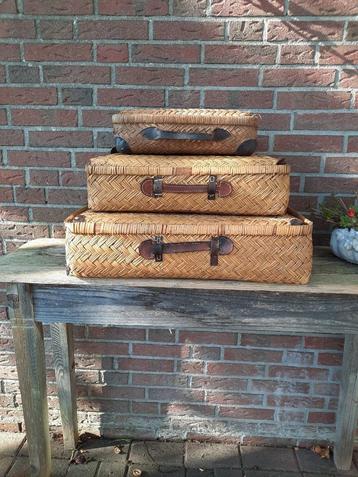 rieten mand reiskoffers beschikbaar voor biedingen