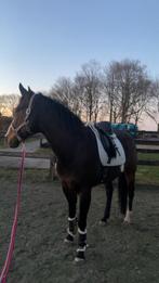 Verzorger/bijrijder gezocht, Ophalen of Verzenden