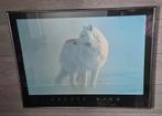 Poster in lijst  "Artic Wind", Ophalen, Zo goed als nieuw