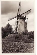 Ede Oude molen 1955., Verzenden, 1940 tot 1960, Gelopen, Gelderland