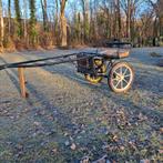 Speedy, ontworpen voor IJslanders, Ophalen of Verzenden