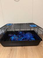 Hamster kooi met accessoire, Dieren en Toebehoren, Kooi, Minder dan 75 cm, Zo goed als nieuw, Hamster