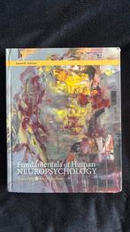 Fundamentals of Human Neuropsychology, Boeken, Ophalen of Verzenden, Gelezen, Bryan Kolb & Ian Whishaw, Geesteswetenschap