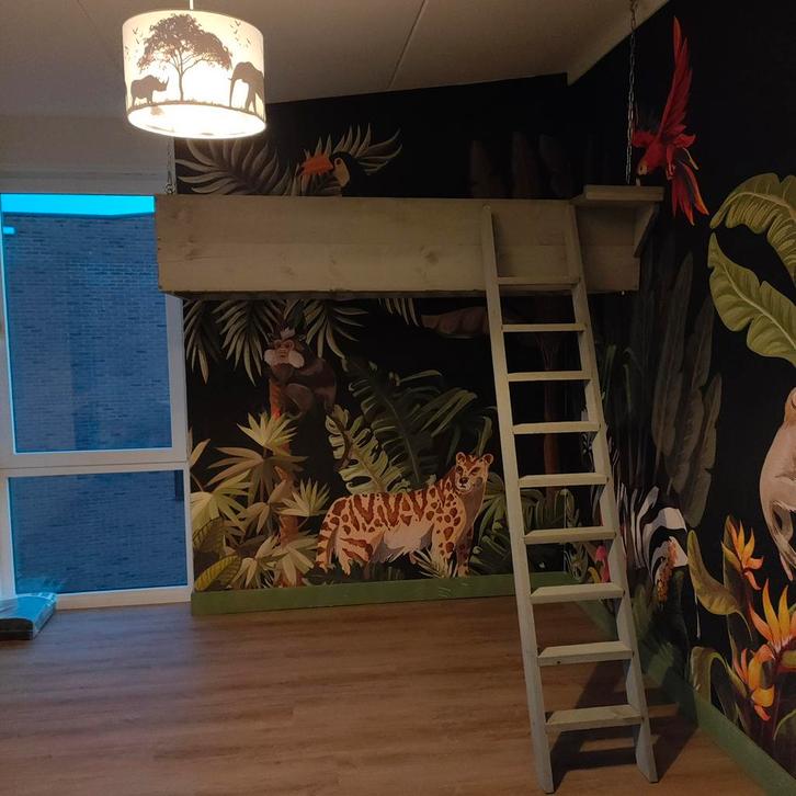Stoere hoogslaper, Kinderen en Baby's, Kinderkamer | Stapelbedden en Hoogslapers, Zo goed als nieuw, Hoogslaper, Ophalen