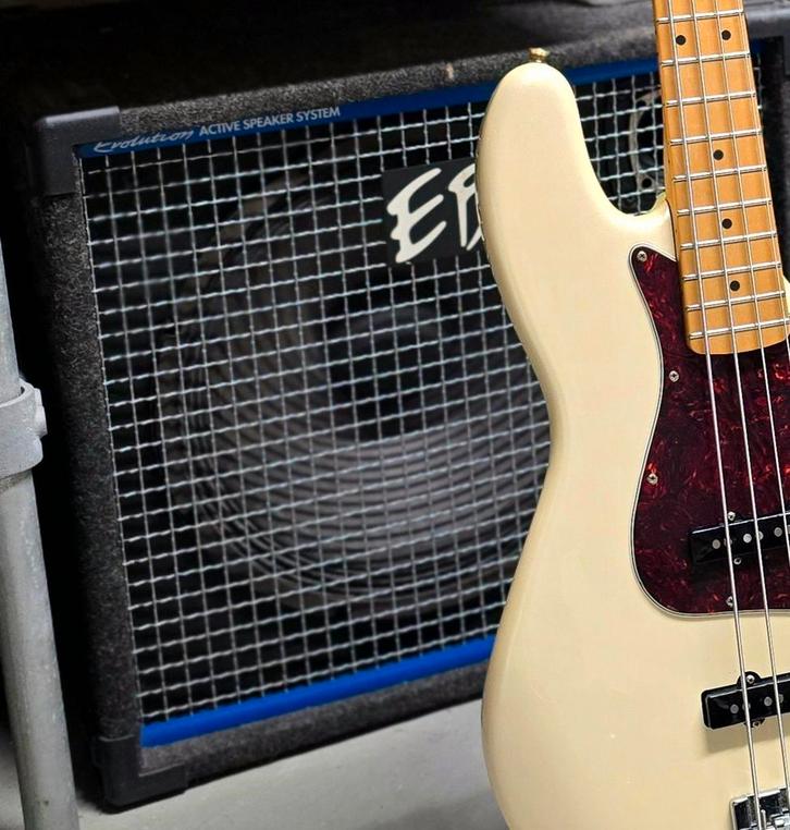 EBS Evolution Active Speaker System, Muziek en Instrumenten, Versterkers | Bas en Gitaar, Zo goed als nieuw, Basgitaar, 100 watt of meer