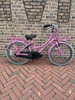 Alpina Cargo meisjesfiets20 inch transportfiets roze, Fietsen en Brommers, Fietsen | Meisjes, Ophalen, Gebruikt, Alpina, Handrem