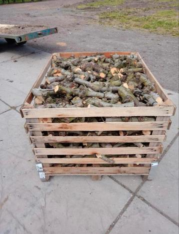 Droog appelhout voor kachel & open haard beschikbaar voor biedingen