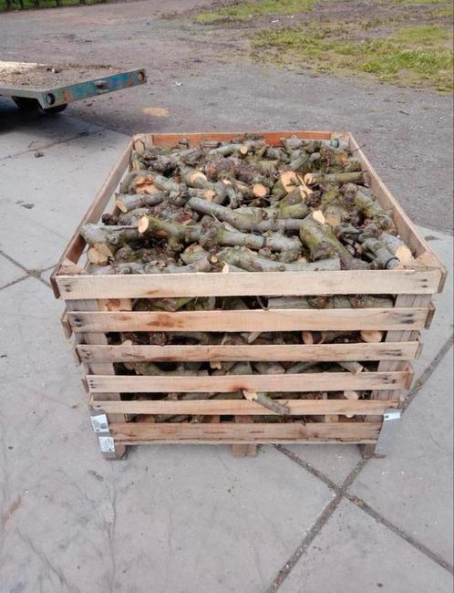 Droog appelhout voor kachel & open haard, Tuin en Terras, Haardhout, Blokken, Minder dan 3 m³, Ophalen