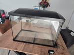 Aquarium 60l. inclusief toebehoren, Dieren en Toebehoren, Vissen | Aquaria en Toebehoren, Ophalen, Gevuld zoetwateraquarium