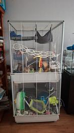 Rattenkooi, Dieren en Toebehoren, Ophalen, Kooi, Gebruikt, 90 cm of meer