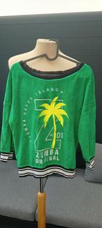 Mooie velourse groene Zumba trui maat XS, Kleding | Dames, Sportkleding, Ophalen, Gedragen, Maat 34 (XS) of kleiner, Groen