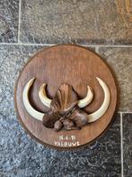 Prachtig Groot Hand Gestoken Schild Wildzwijn Tanden Veluwe, Verzamelen, Dierenverzamelingen, Ophalen of Verzenden, Wild dier