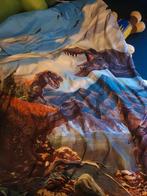 200x200 dekbedovertrek met dinosaurussen, Ophalen of Verzenden, Zo goed als nieuw, Tweepersoons, Dekbedovertrek