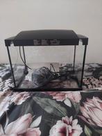 Aqaruim compleet, Ophalen