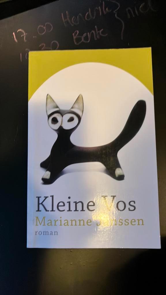Marianne Janssen - Kleine Vos, Boeken, Literatuur, Zo goed als nieuw, Nederland, Ophalen of Verzenden