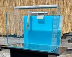Superfish scaper 45 aquarium. Incl. Lamp en filterpomp, Dieren en Toebehoren, Ophalen, Zo goed als nieuw, Leeg aquarium