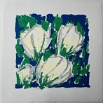 hand gesigneerd en genummerde zeefdruk van Ad van Hassel, Ophalen of Verzenden