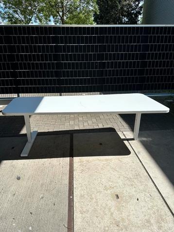 Wit bureau