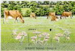 Jersey  Blok Postfris, Verzenden, Postfris